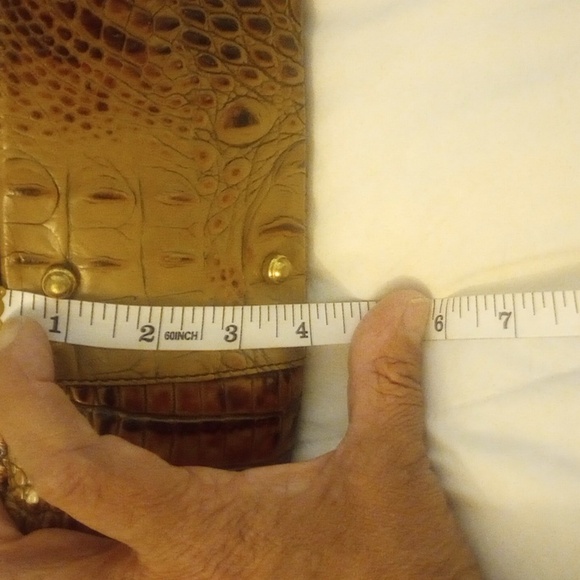 Brahmin - Picture 3 of 12